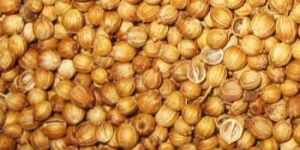 Coriander Seed