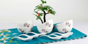 Soup Bowl Set