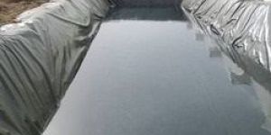 HDPE Sheet