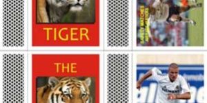 Safety Matches (The Tiger)