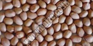 Groundnuts