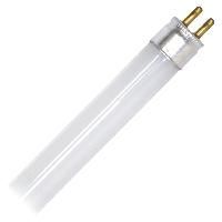 Fluorescent Tube