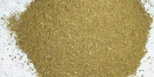 Flame Dried Fish Meal Powder