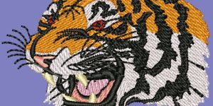 Embroidery Digitizing Services