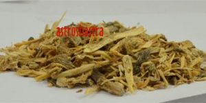 Angelica Root