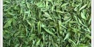 Stevia Dry Leaves