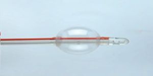 Disposable Leaf Plate