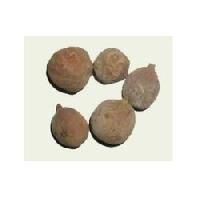 Solanum Xanthocarpum