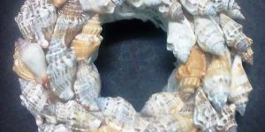 Seashell Wreath