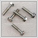 Stainless Steel Bolts