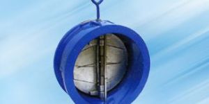 Dual Plate Check Valve