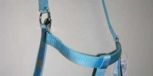 Sky Blue Nylon Horse Halter