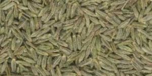 Cumin Seeds
