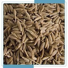 Cumin Seeds