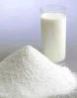 Milk Powder