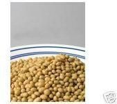 Soyabean