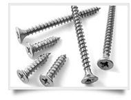 Duplex Steel Screws