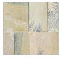 Mint Fossile Sandstone