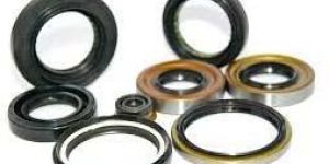 Rubber Oil Seals