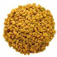 Fenugreek Seed