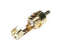Rca Plug