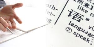 Proofreading Service