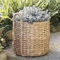 Basket Planters