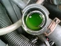Antifreeze Coolant
