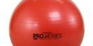 Pro Series Scp Exercise Ball
