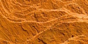 Autumn Brown Sandstone