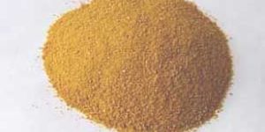 Corn Gluten Meal Powder
