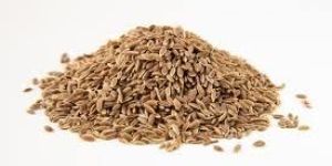 Dill Seeds