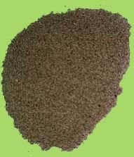 Ajwain Seed
