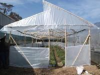 Polyhouse