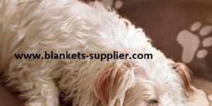 Pet Blankets