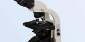 Digital Microscope