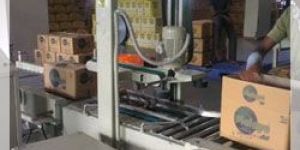 Check Weigher System - Online