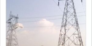 Distribution / Transmission Lines