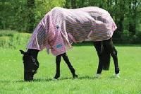 Horse Clothing