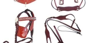 Harness
