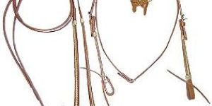 Western Bridles