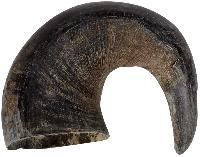 Buffalo Horns