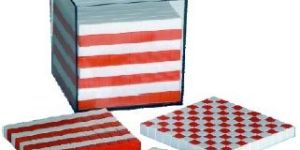 Dissectible Plastic Cube