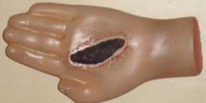 Body Depicting Model