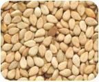 Natural Sesame Seed