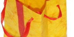 Printed Paper Bag with Red Ribbon Handles