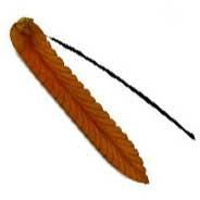 Natural Wooden Incense Patti