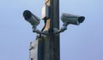 Network IP Cameras