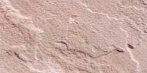 Beige SandStone