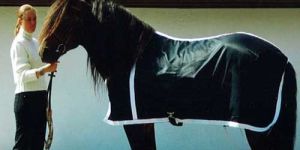 Horse Black Rug